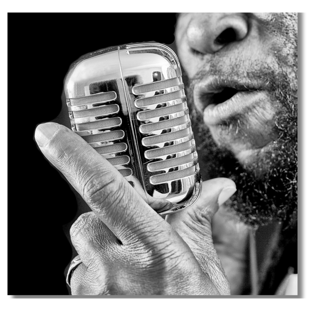Tavla Aluminium art Microphone