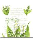 DOFTPÅSE FRESH SCENTS-LILY OF THE VALLEY
