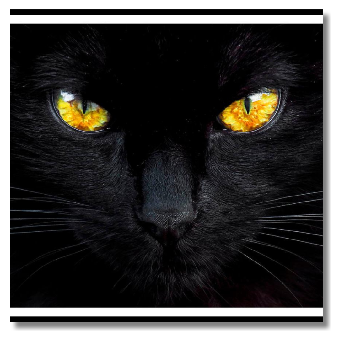 Tavla Aluminium art Yellow eyes