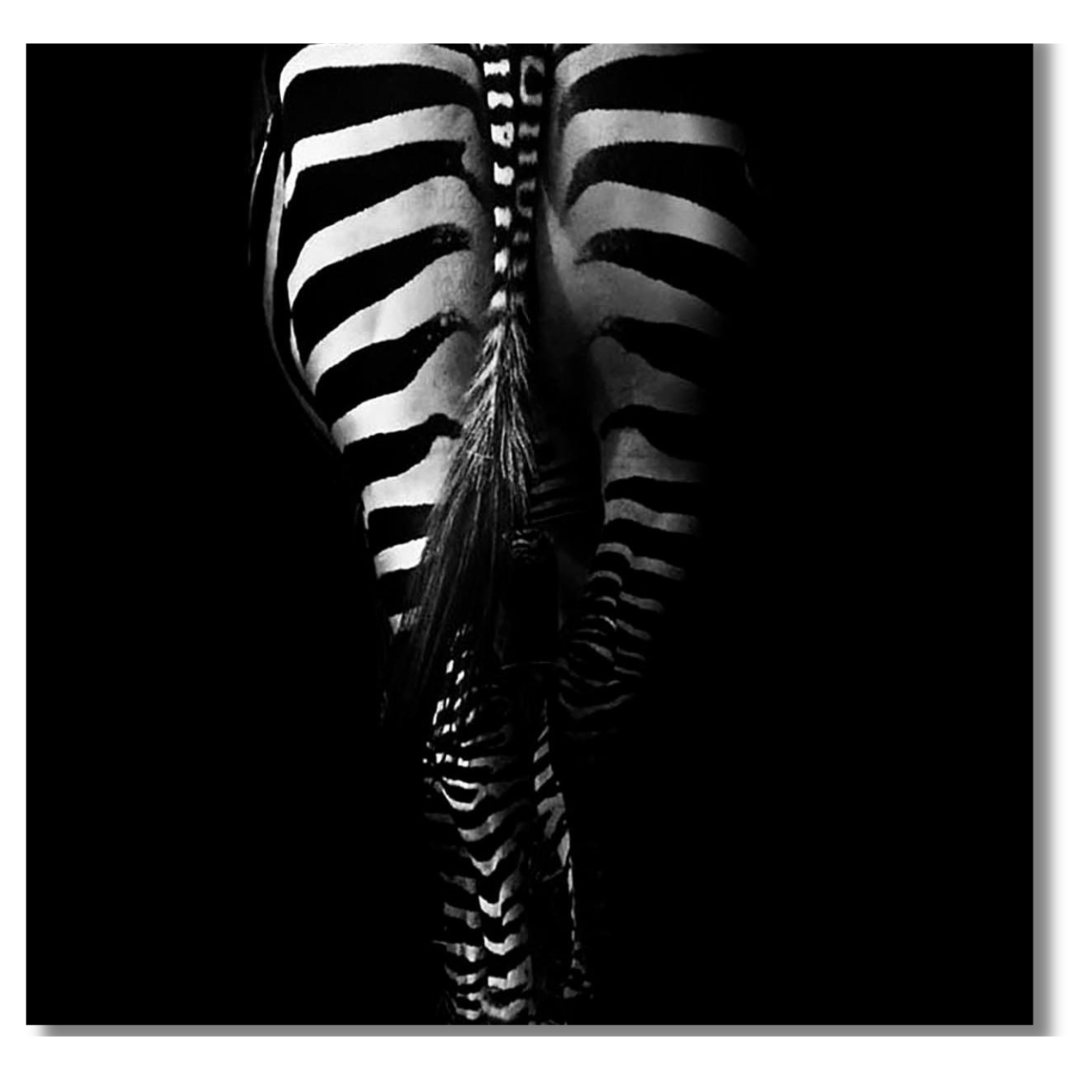 Tavla Aluminium art Zebra