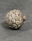 Kotte keramik