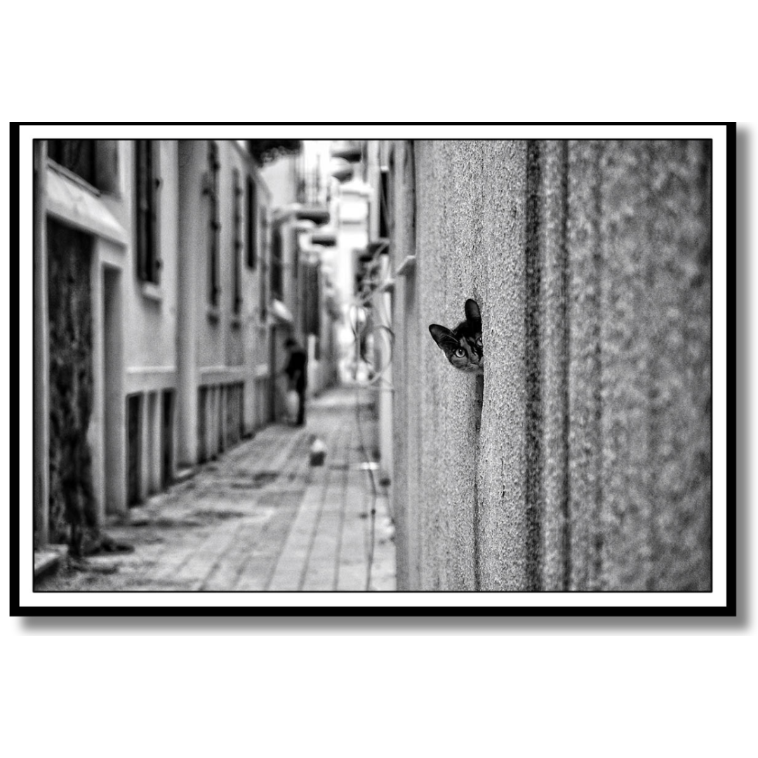 Tavla Aluminium art Look