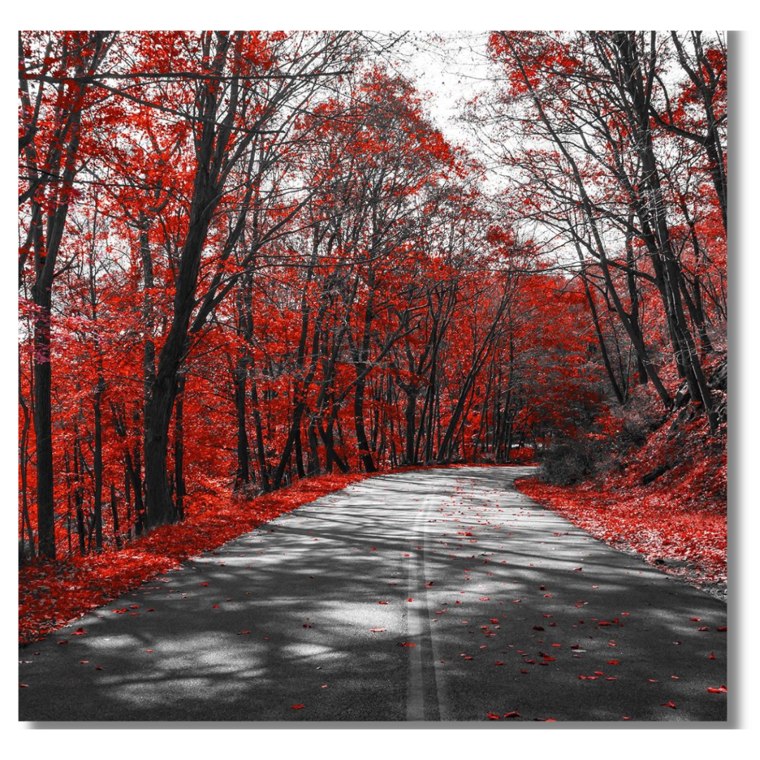 Tavla Aluminium art Red road