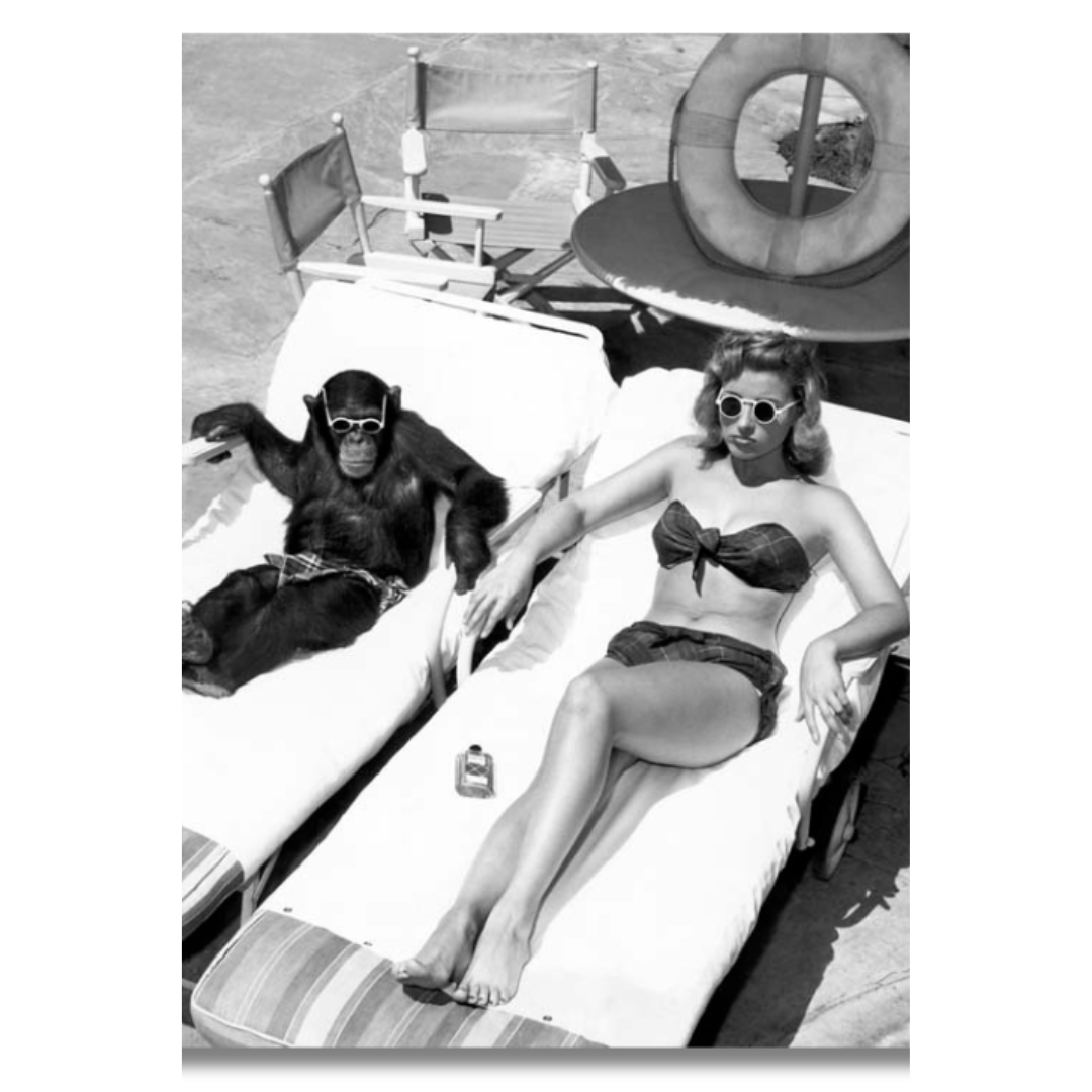 Tavla Aluminium art Monkey & Girl