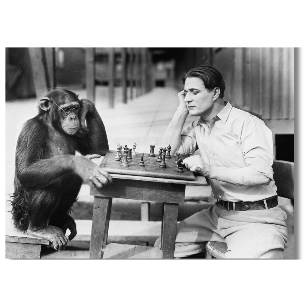 Tavla Aluminium art Monkey Chess