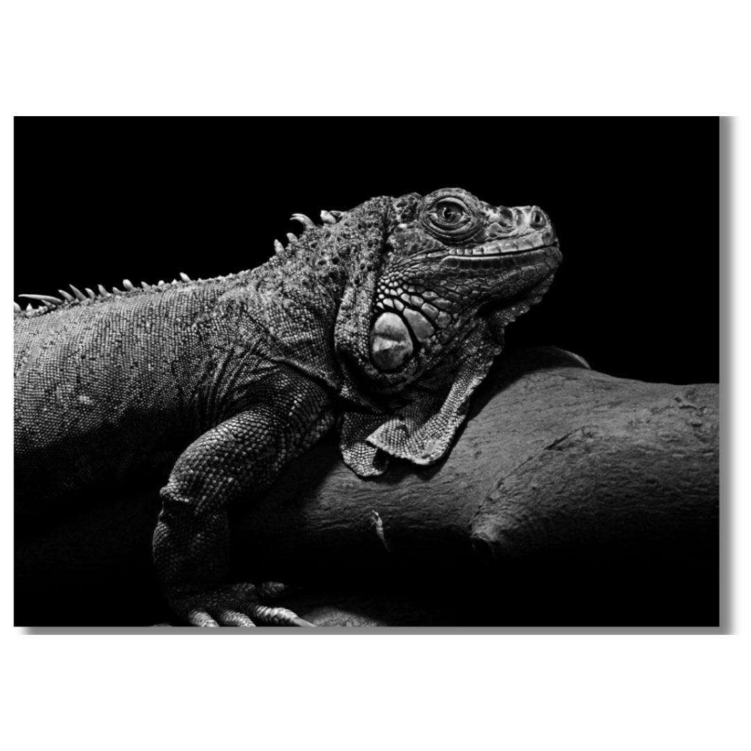 Tavla Aluminium art Lizard