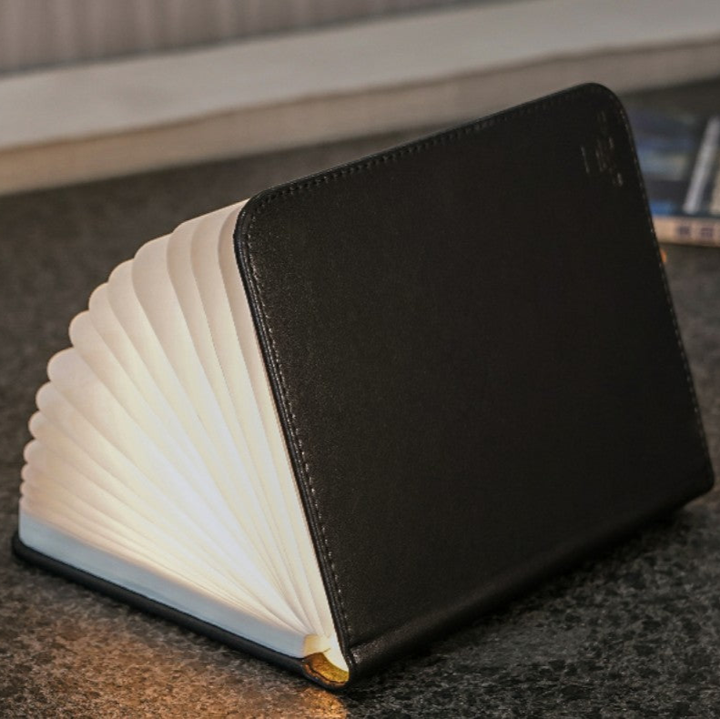 Smart boklampa L Skinn - Leverans i Oktober