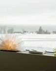 Bordsstjärna Mezza Snöblomma