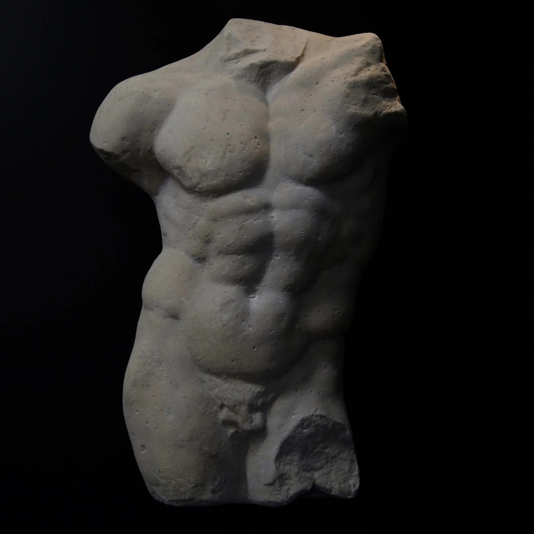 Andrea Manlig Torso RS